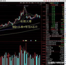 在20日的2019世界5g大会上,表示,中国5g用